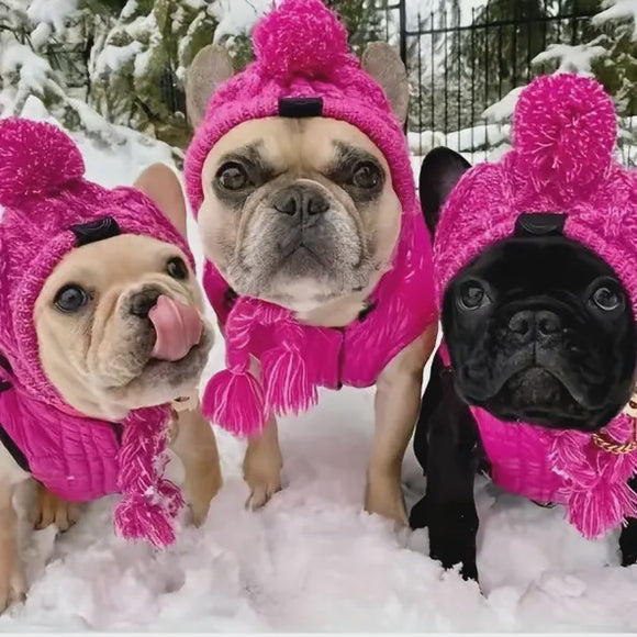 Winter Pom Hat with Braids Violet