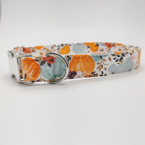 Harvest Pumpkin Dog Collar