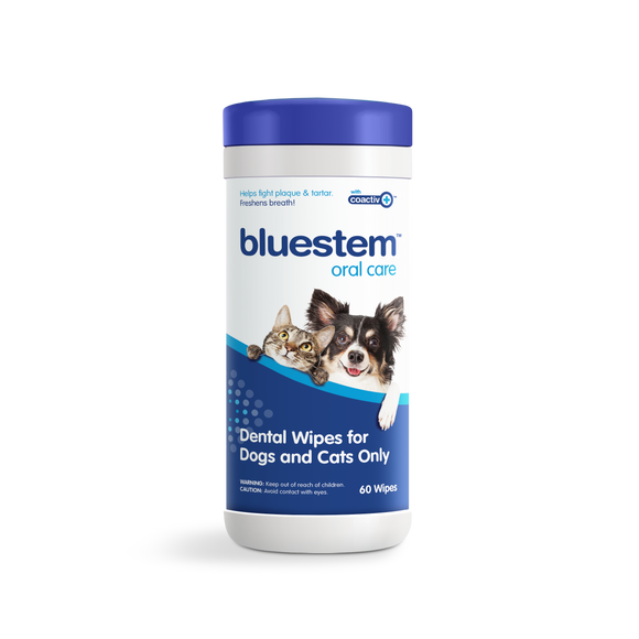 Bluestem Dental Wipes With Coactiv+ Vanilla 60 Count