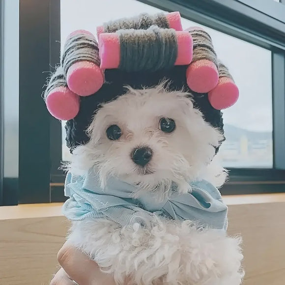 Small Pet Hat with Hair Rollers