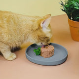 Pastel Silicone Cat Dish