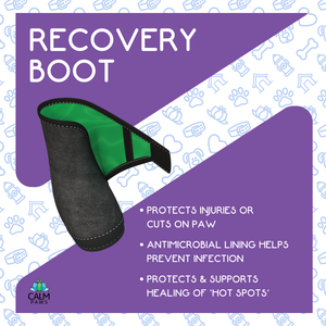 Calm Paws Recovery Boot