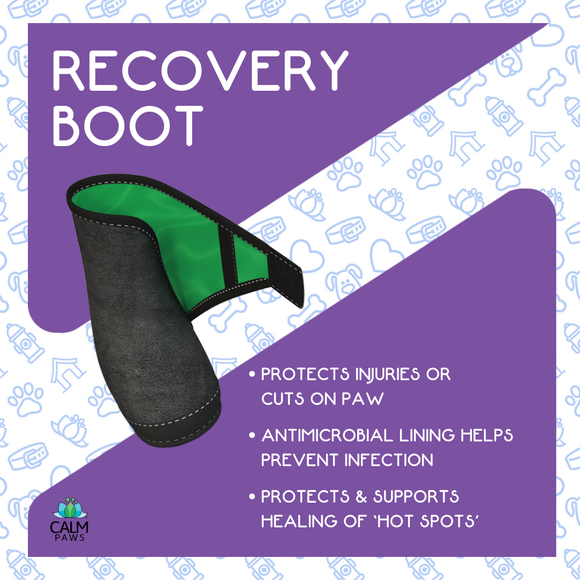 Calm Paws Recovery Boot