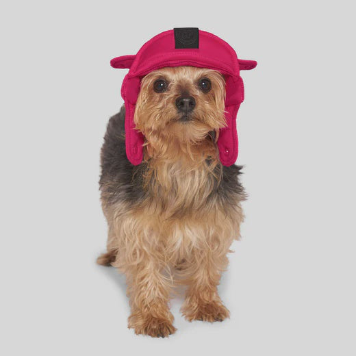 Canada Pooch Pink Puffer Hat