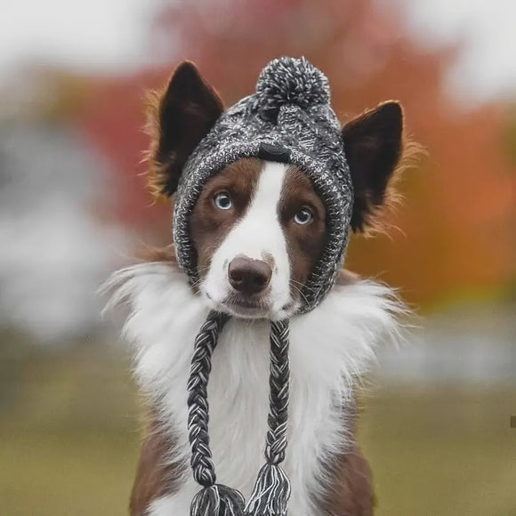 Winter Pom Hat with Braids Dark Grey