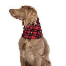 Goldpaw Snood Red Plaid/Black