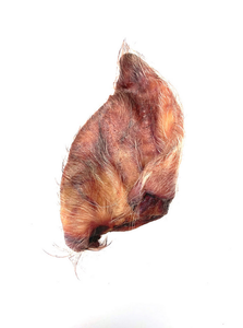 Momentum Pig Ear Hairy