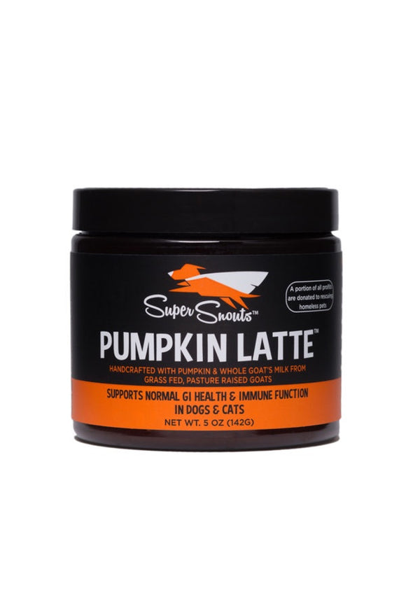 Super Snouts Pumpkin Latte