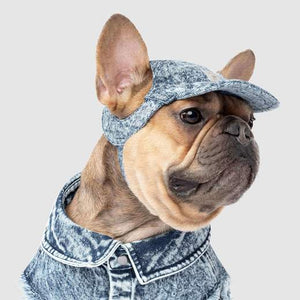 Canada Pooch Downtown Denim Cap Blue*