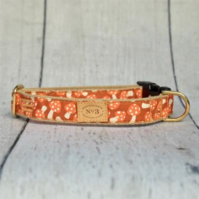 Finnegan's Collar Creamsicle Mushroom Collar