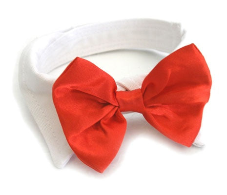 Doggie Design White Collar With Red Satin Bow Tie