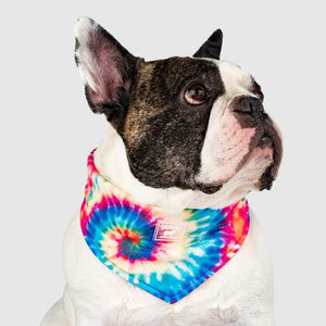 Canada Pooch Cooling Bandana Tie Dye*