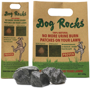 Dog Rocks