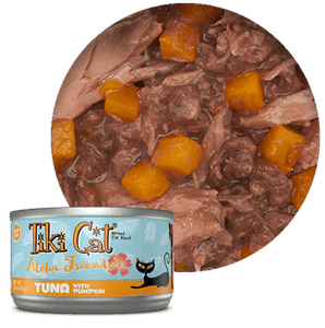 Tiki Cat Aloha Tuna Pumpkin