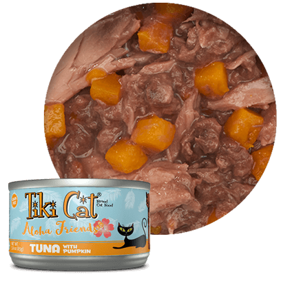 Tiki Cat Aloha Tuna Pumpkin