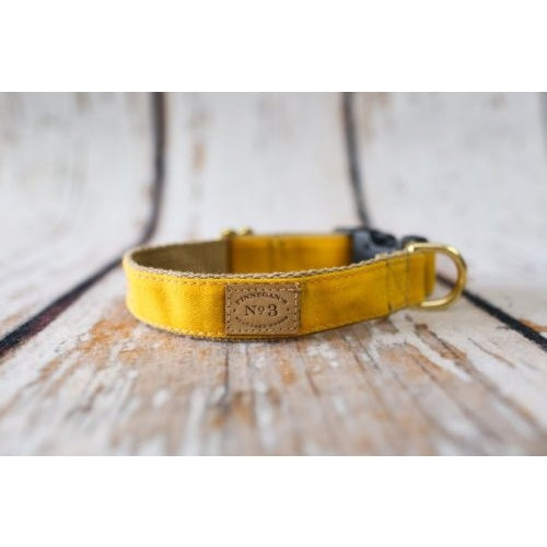 Finnegan's Cloth Collar Yellow Waxed