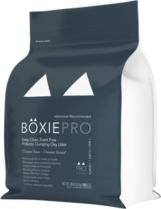 BoxieCat Pro Scent Free Clump