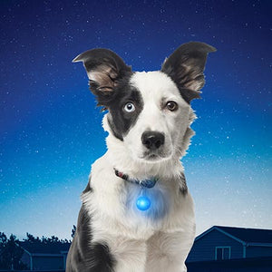 Nite Ize Spotlit LED Collar Light