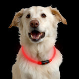 Nite Ize Nitehowl LED Safety Necklace