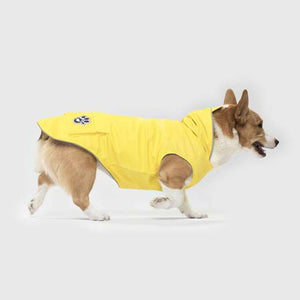 Canada Pooch Torrential Tracker Yellow