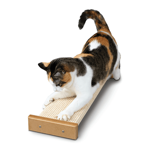 Bootsies Combination Scratcher