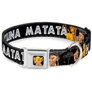 Buckle Down  Simba  Close up Hakuna Matata Collar