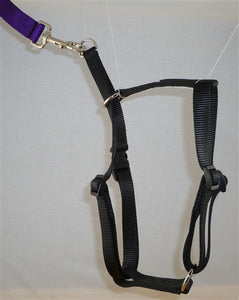 Locatis No Pull Harness Black*