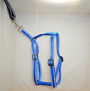 Locatis Reflective No Pull Harness Royal Blue