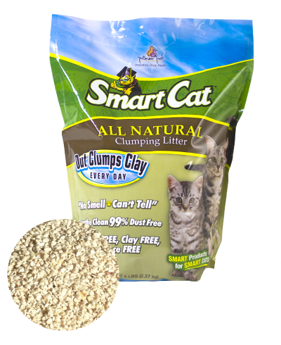 Pioneer Pet Smart Cat All Natural Litter