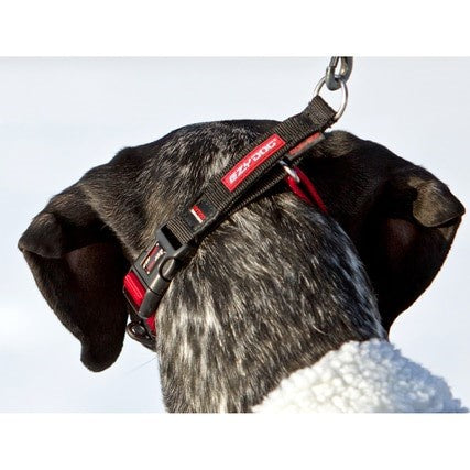 EzyDog Checkmate Collar Black