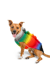 Chilly Dog Rainbow Mohawk Sweater