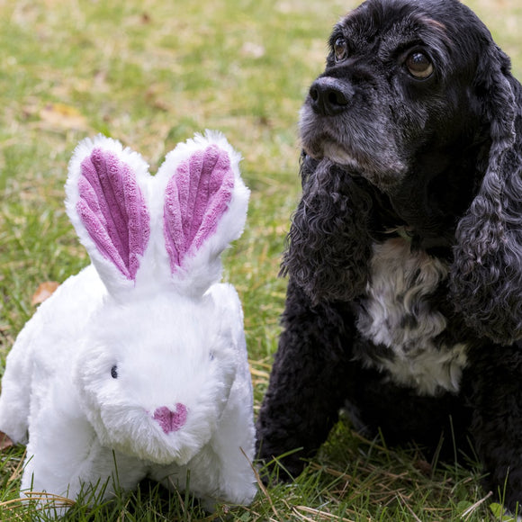 HuggleHounds Squooshie Bunny