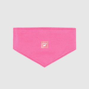 Canada Pooch Cooling Bandana Neon Pink