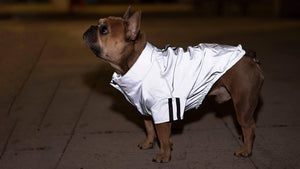 Canada Pooch Reflective Anorak Jacket Grey*