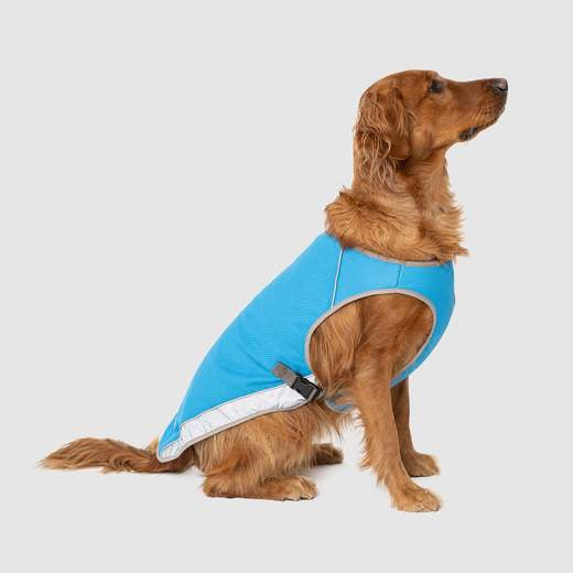 Canada Pooch Cooling Vest Aqua