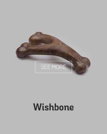 Benebone Wishbone Chicken