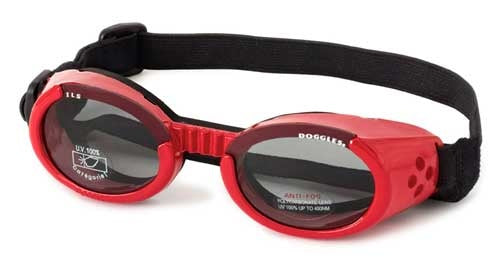 Doggles ILS Shiny Red Frame/Smoke Lens