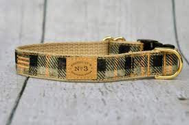 Finnegan's Collar 1 inch Pumpkin Plaid Collar