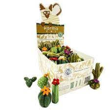 DDKC Succulents Toys Asst