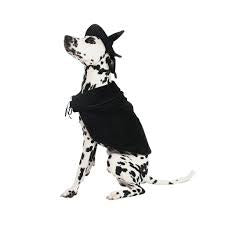 Midlee Halloween Witch Cape and Hat Dog Costume