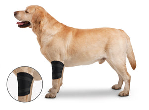 ZenPet Elbow Protector