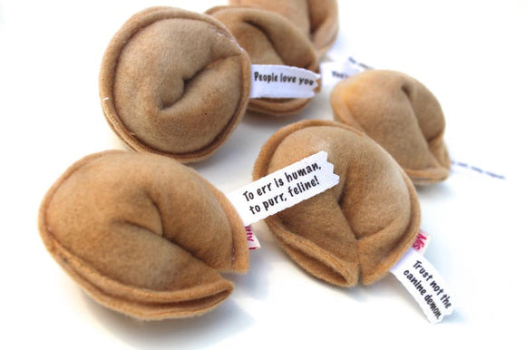 Miso Fortune Cookies Bulk