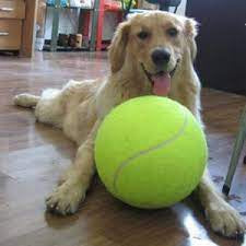 Jumbo Tennis Ball Asst Colors