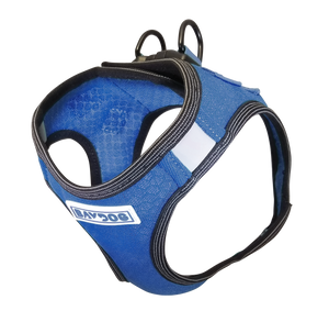 Bay Dog Liberty Harness Blue