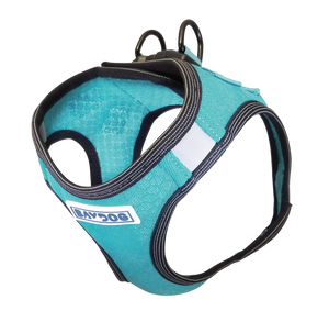 Bay Dog Liberty Harness Teal