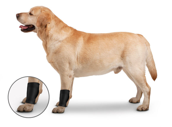 ZenPet Ligament Protector