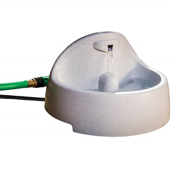 PetSafe Fountain Everflow Outdoor