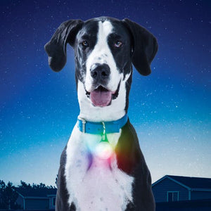 Nite Ize Spotlit XL LED Collar Light Disco