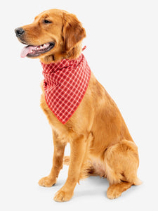 Insect Shield Trail Dog Bandana Red Small/Medium